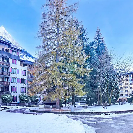 Sud - Jonquilles 38 - Happy Chamonix